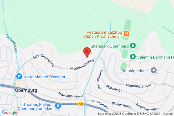 UTS Umzugs- und Transportsysteme GmbH & Co. KG