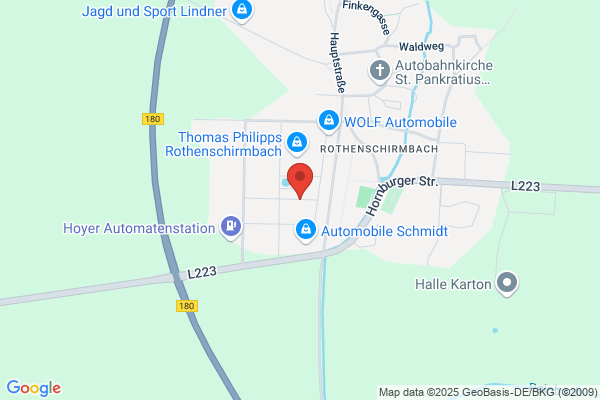 Holzmann