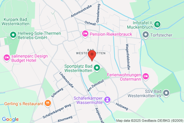 NiermannBus GmbH