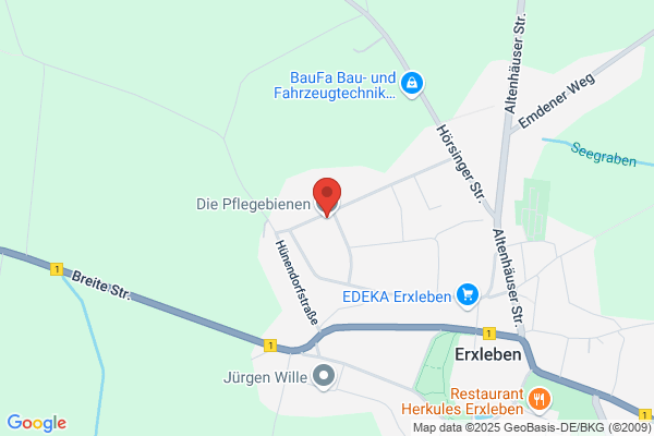 Die Pflegebienen GmbH