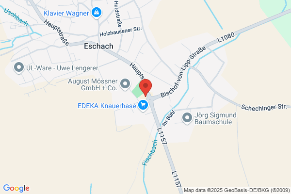 Restaurant Fröschle