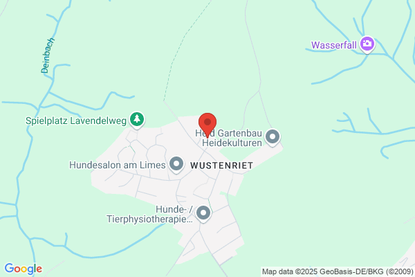 Borsody