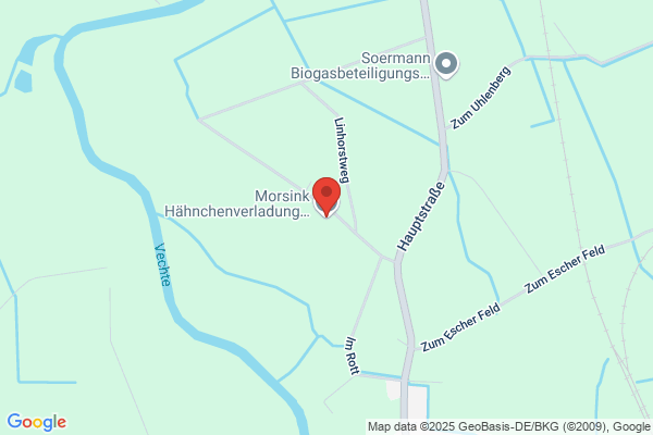 Morsink Hähnchenverladung GmbH & Co.KG
