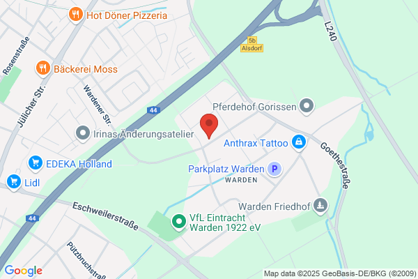 Putz Stuck Trockenbau Wilfried Mickartz