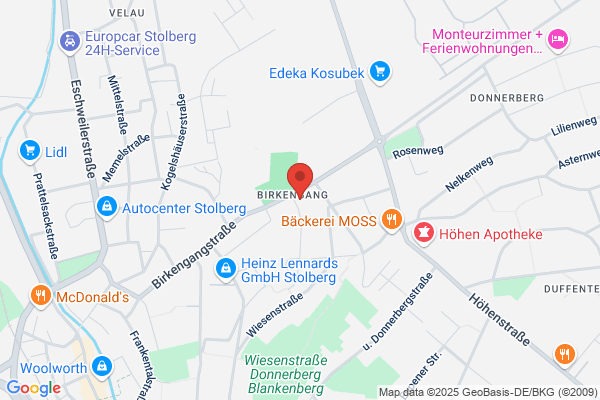 Burg Taxi GmbH