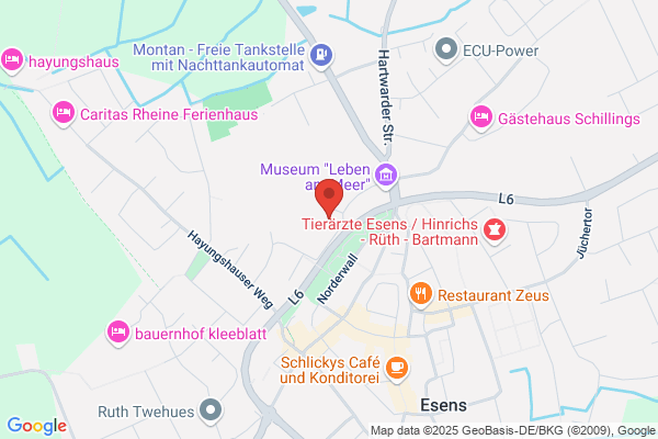 Schulzentrum Esens Carl-Gittermann-Realschule