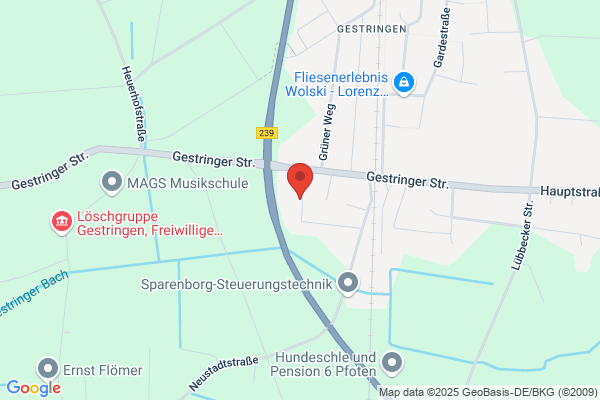 Havaneser vom Rosengarten