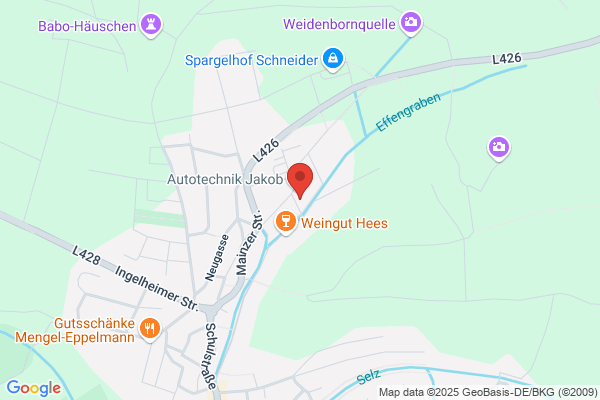 Wintec Autoglas Kooperationspartner Stadecken-Elsheim