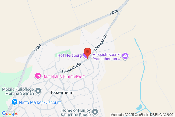 FD-Forensische Dienste GmbH