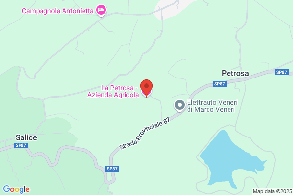 Petrosa