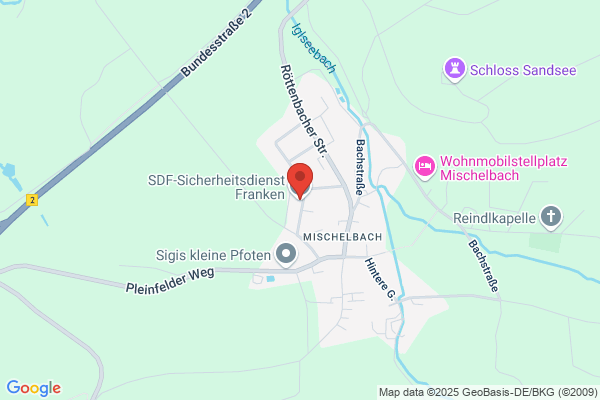 SDF-Sicherheitsdienst