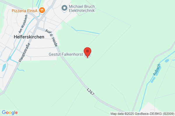Gestüt Falkenhorst