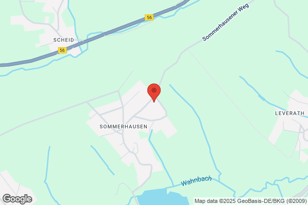 Neef IT Solutions AG