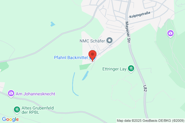 Pfahnl Backmittel