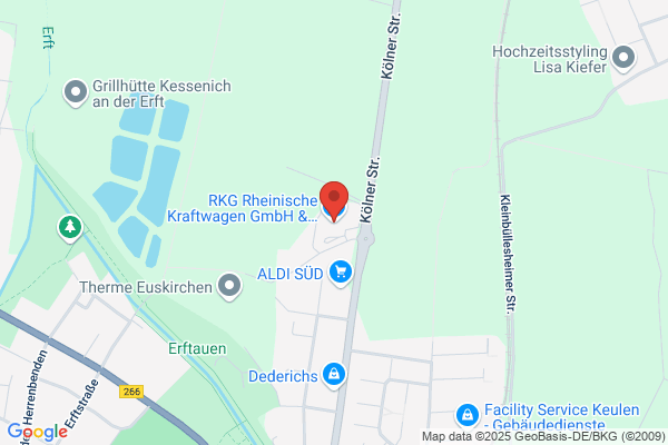 RKG Rheinische Kraftwagen GmbH & Co. KG