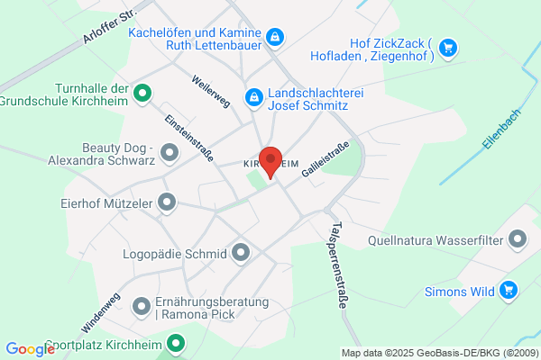 Schwan EdelsteinSchmuck