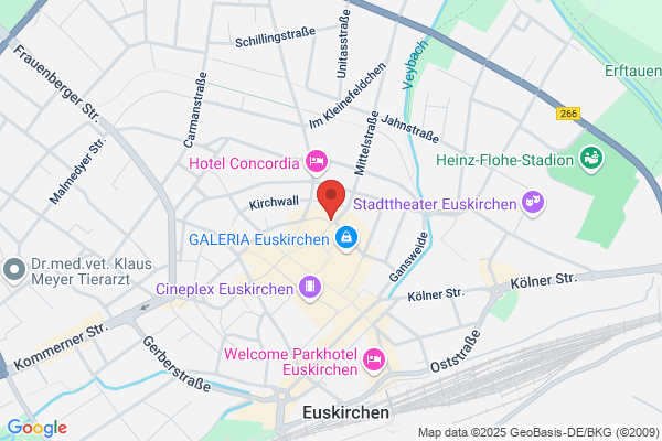 Home Instead (Euskirchen)