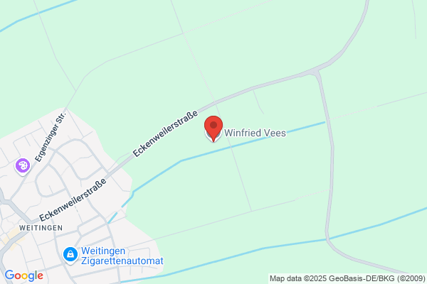 Manfred Vees, Anna Vees