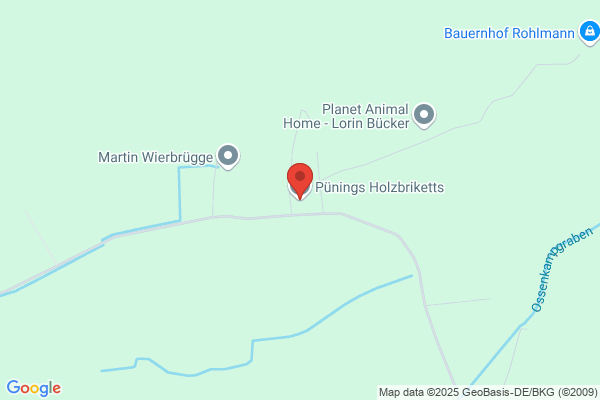 Püning-Schopmann GmbH