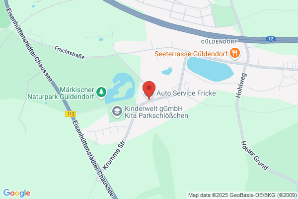 Auto Service Fricke