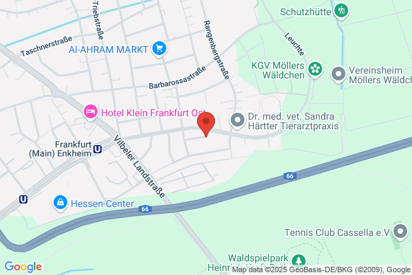 Kreuzberger Blumen- und Präsenteshop