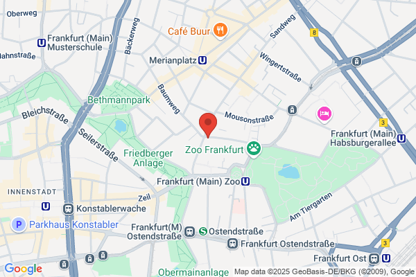 Nicolas Stilleben Blumen