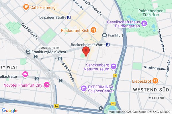 Café Albatros - Lokal Bistro