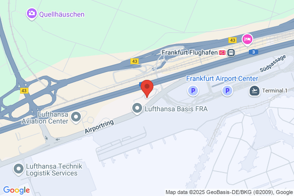 Ringeltaube