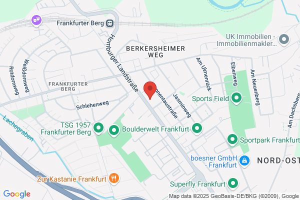 IKS - Interkulturelle Schule Rhein-Main