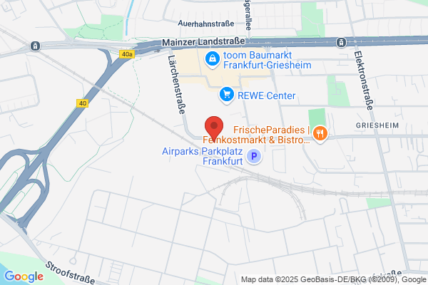 Neufundland Frankfurt Werkstatt Frankfurt e.V. Lärchen