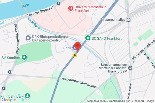 Figen Steinecke