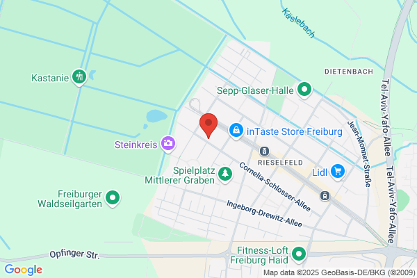 SCHAUDELconsult