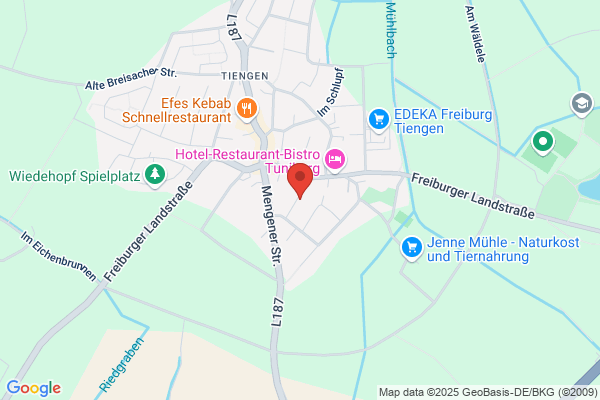 BS Security GmbH