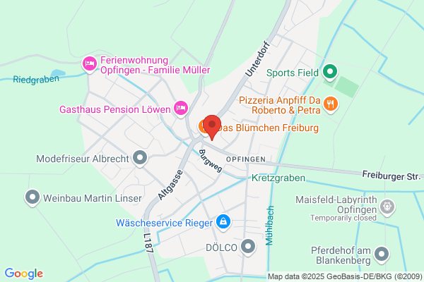 Hotel Blume