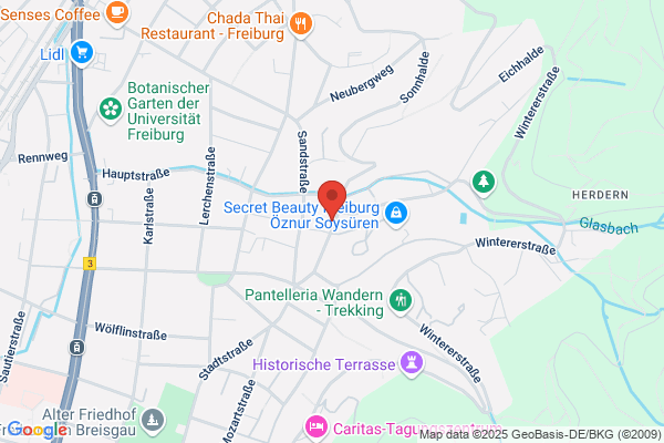 MasterCoach - Hypnose | Leslie Baptist | Freiburg