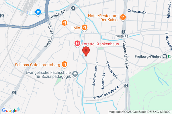 Dominik Schellenberg