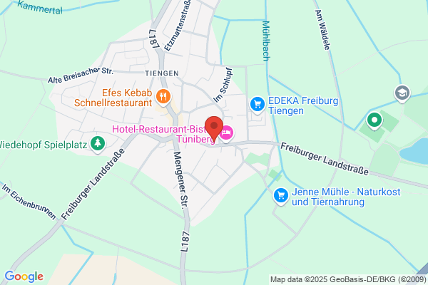 Optik Scholz