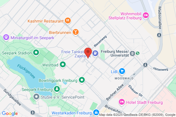 Veeser Maler und Dienstleister GmbH & Co. KG