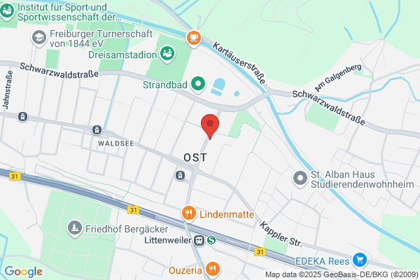 achtung frisch gestrichen e. V., Kunst an Freiburgs Wänden