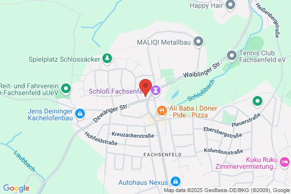 Sportverein Fachsenfeld e.V.