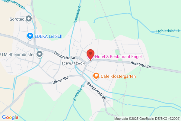 Hotel Engel