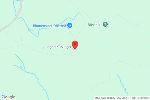 Ingrid Kürzinger
