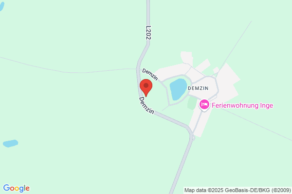 Hundetraining Remus