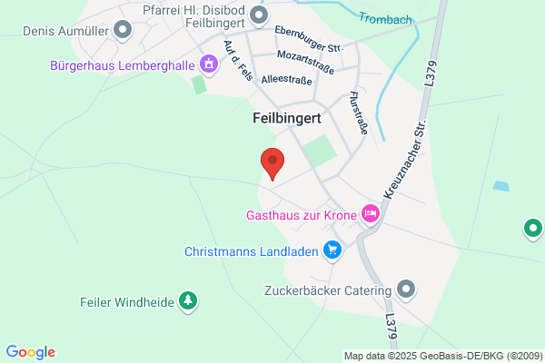 Prot. Pfarramt Feilbingert