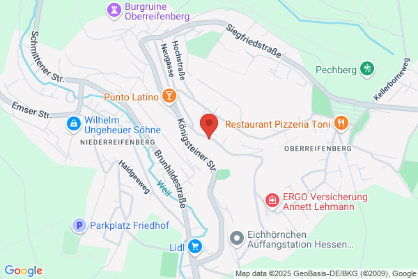 Forstrevier Feldberg-Aeule
