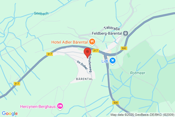 Alemannenhausverein