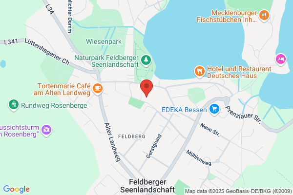 Seehotel Feldberg