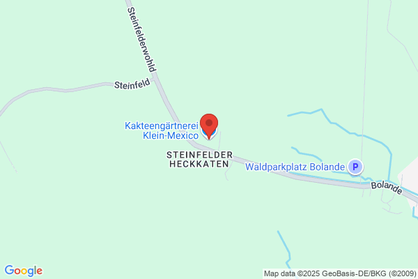 Kakteengärtnerei Klein-Mexico