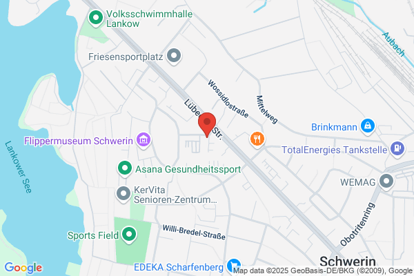 Schleswig-Holsteinische Buchführungsgesellschaft