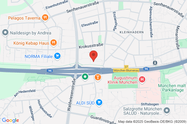 Almania Services